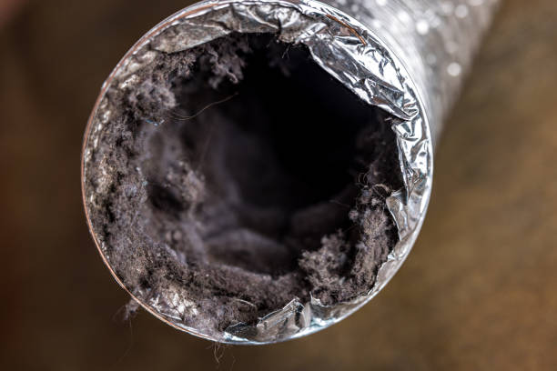 Best Air Duct Cleaning Near Me  in Purdy, MO