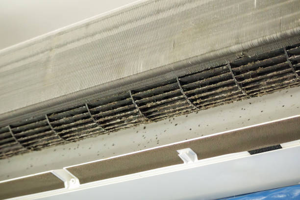 Best Residential Air Duct Cleaning  in Purdy, MO